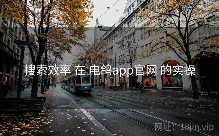 搜索效率 在 电鸽app官网 的实操