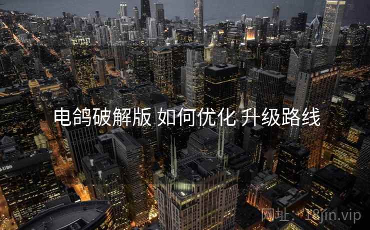 电鸽破解版 如何优化 升级路线