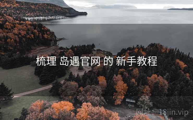 梳理 岛遇官网 的 新手教程