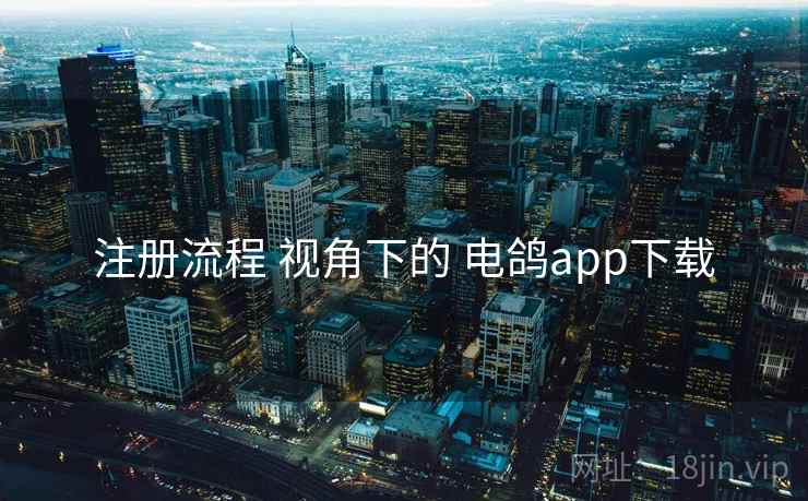 注册流程 视角下的 电鸽app下载 注册流程 视角下的 电鸽app下载