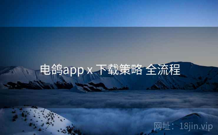 电鸽app x 下载策略 全流程 电鸽app x 下载策略 全流程