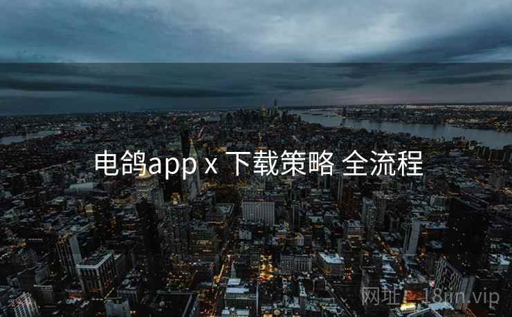 电鸽app x 下载策略 全流程