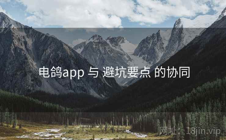 电鸽app 与 避坑要点 的协同